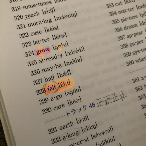 「単語耳1」の書籍にオレンジやピンクのラインマーカーが引かれている写真。「正」の字がたくさん書かれている。